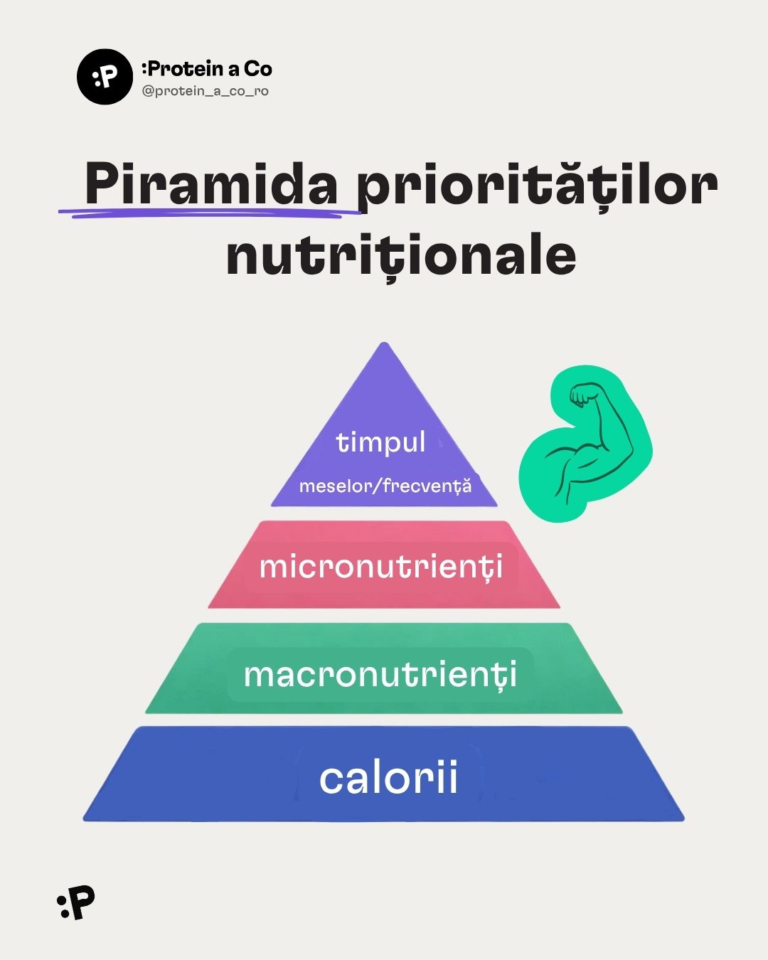 Co-jist-po-cviceni-1-RO-clanek-vyziva-proteinaco